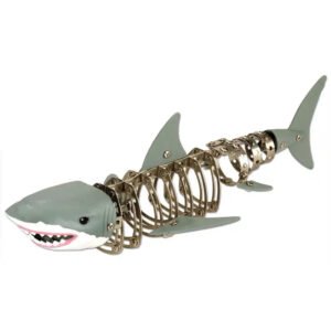 Alternative view of Shark Model Kit