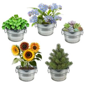 Alternative view of Grow Your Own Mini Garden Kits