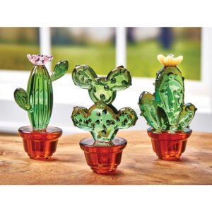 Glass Garden Cactus Collection